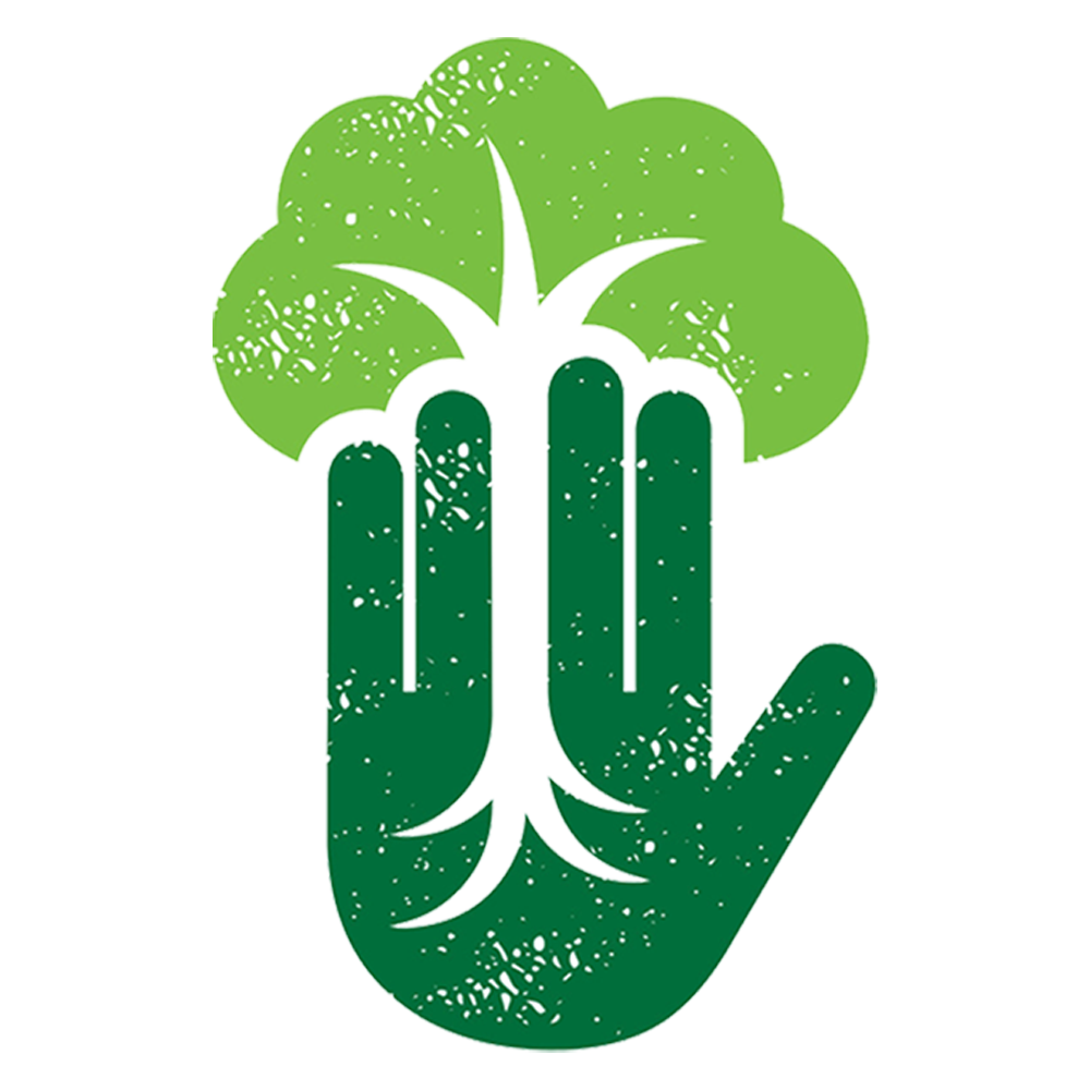 Holistic Evolution logo; green hand with tree in palm.